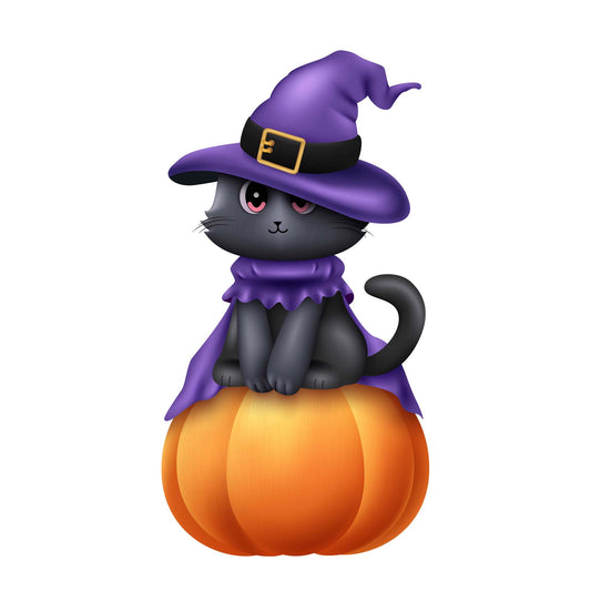 Black Cat on Pumpkin