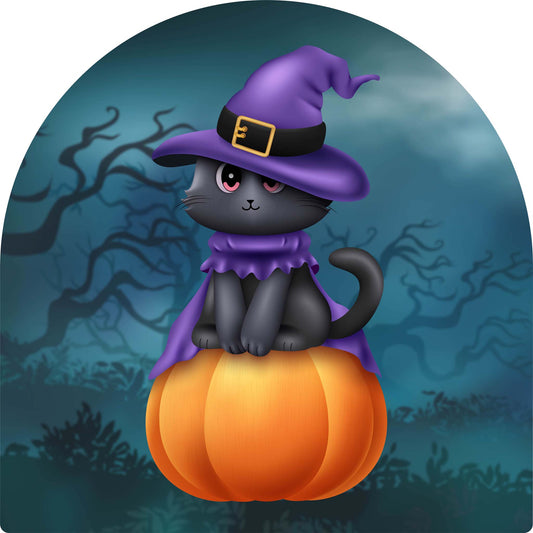 Black Cat on Pumpkin