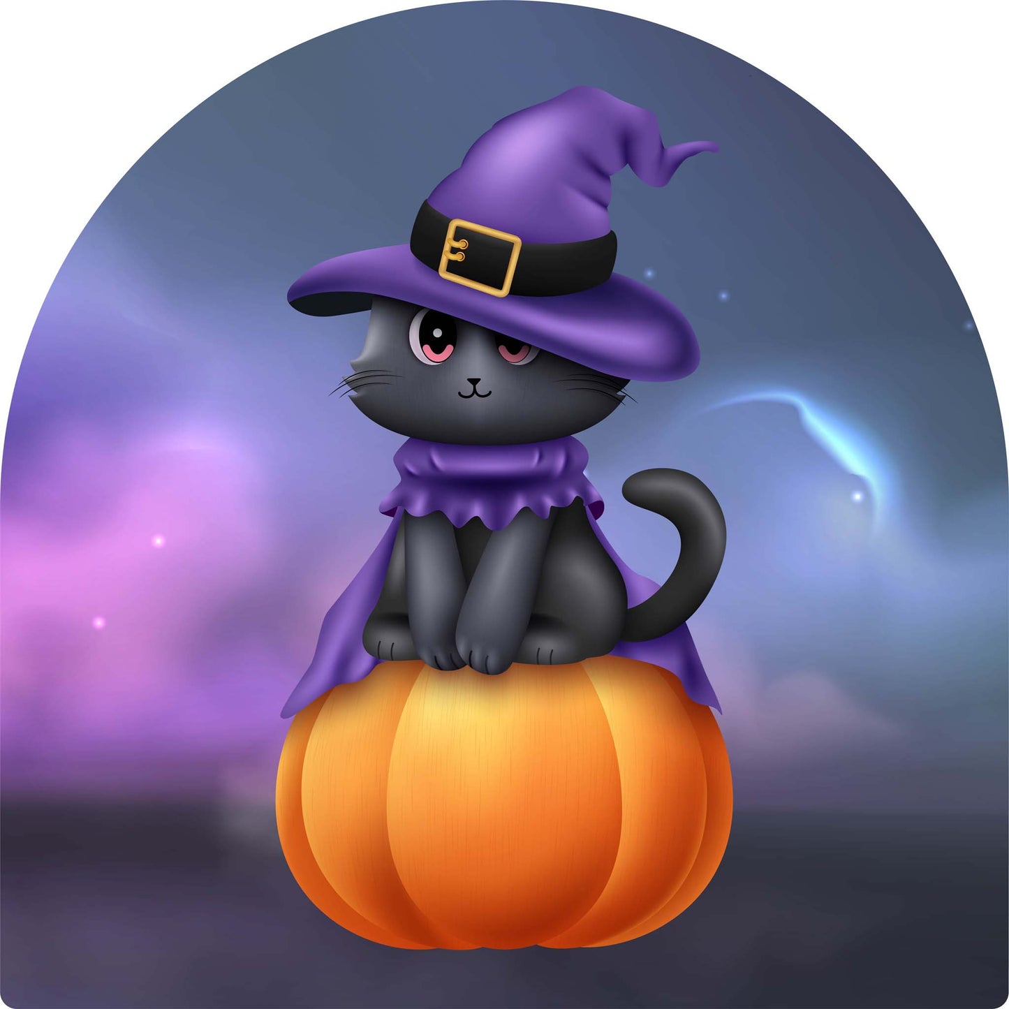 Black Cat on Pumpkin
